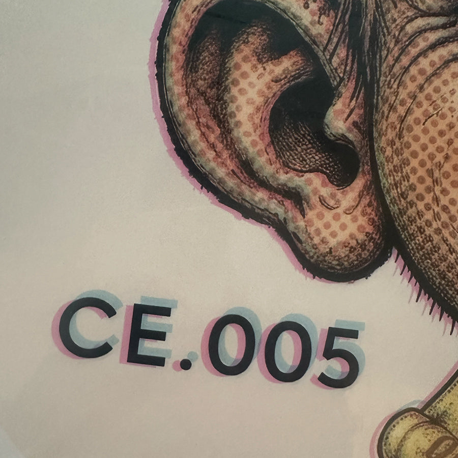 Model Student supersized decal print CE.005 edition mark detail