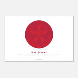 Cal Flavor poster 60x90 cm / 24x36″